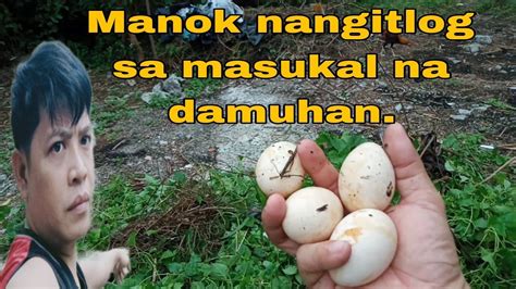 nagkantutan sa damuhan|Na Kantutan Sa Damuhan Porn Videos .